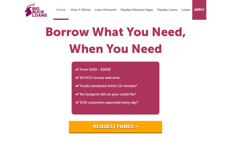 An Image of Big Buck Loans Website